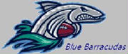 bluebarracudasnewlogo.jpg